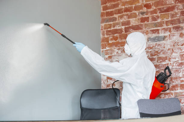Best Mold Documentation for Insurance Claims  in Knox, IN