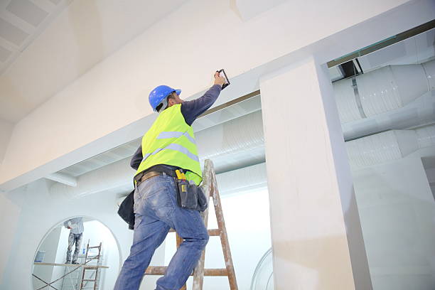 Best Asbestos and Lead Testing During Mold Inspection  in Knox, IN