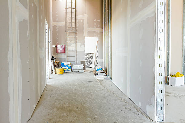 Best Mold Prevention Services  in Knox, IN